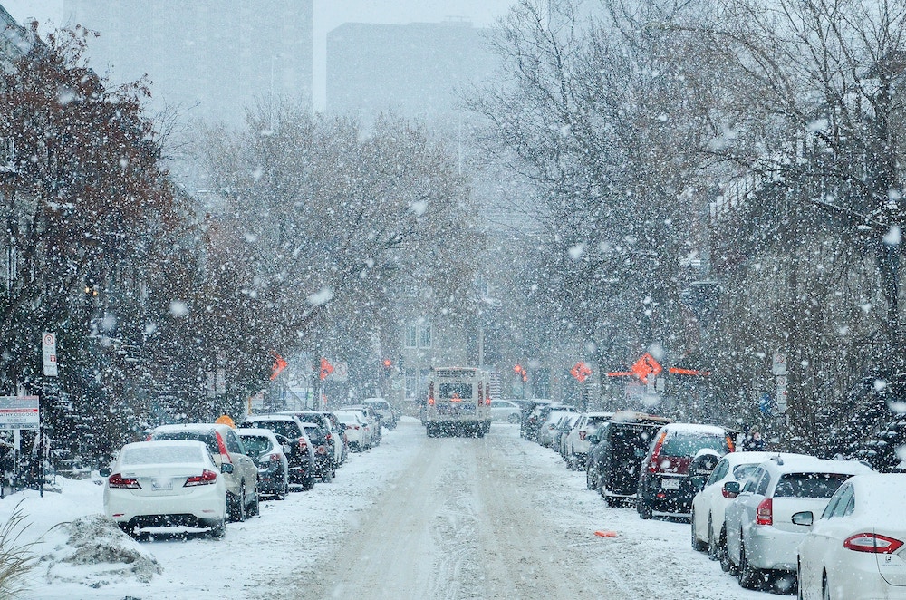 Snowbird Car Insurance
