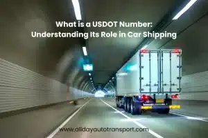 What is a USDOT Number